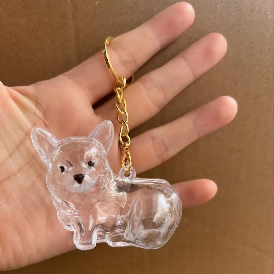 Forever Paws