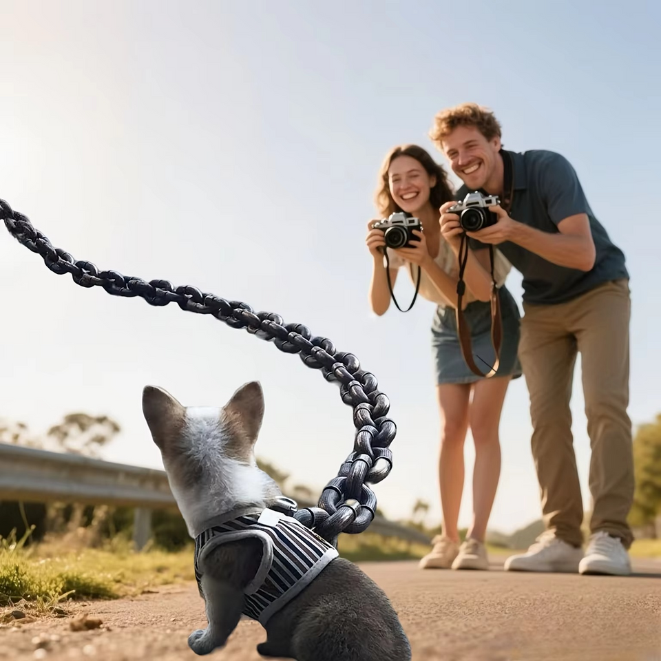 IronPaw™ Big Boss Chain Leash