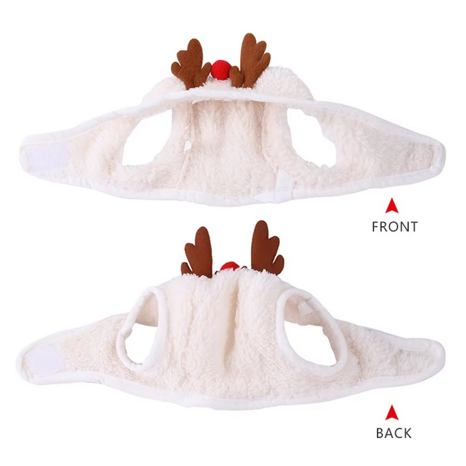 MerryPaws Santa Costume
