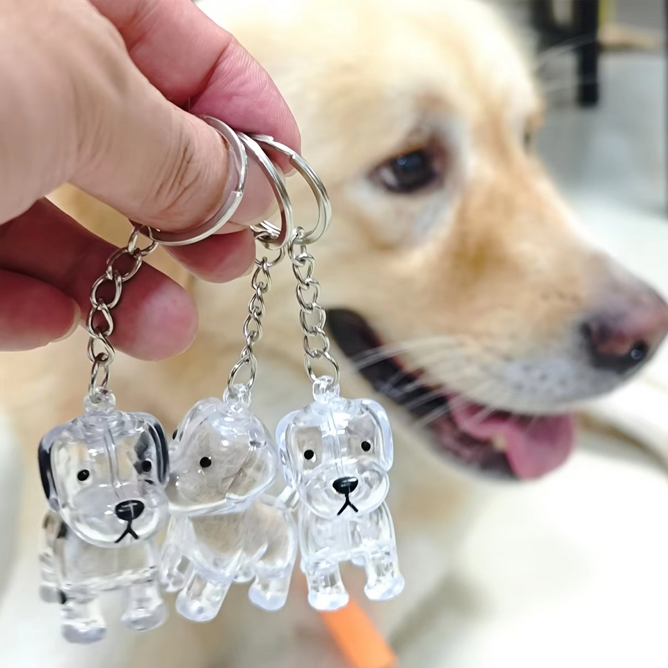 Forever Paws
