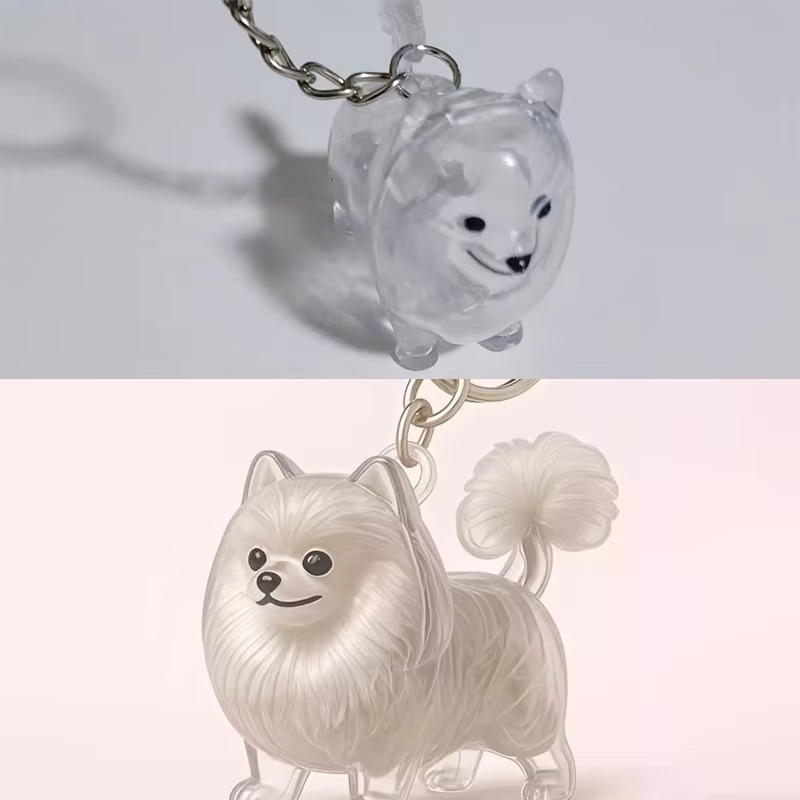 Forever Paws
