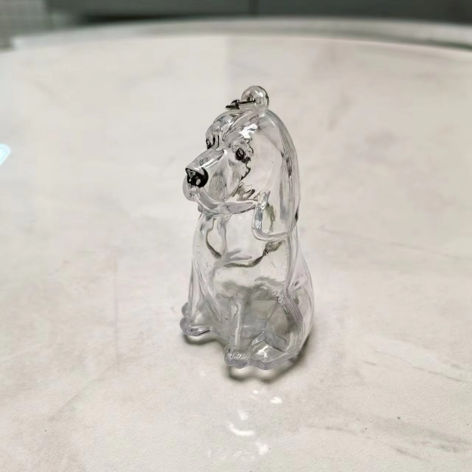 Forever Paws